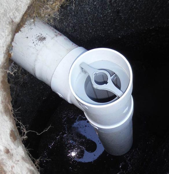 Greenworks of Washington